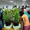 20100411149.jpg