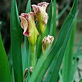 20100405169.jpg