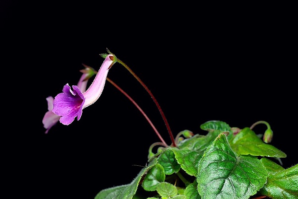 20100424449.jpg
