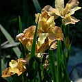 2010042611.jpg