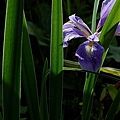 2010050122.jpg