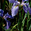 2010050611.jpg