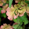 2010053041.jpg