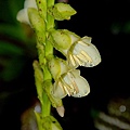 2010052686.jpg