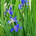 2011043467.jpg