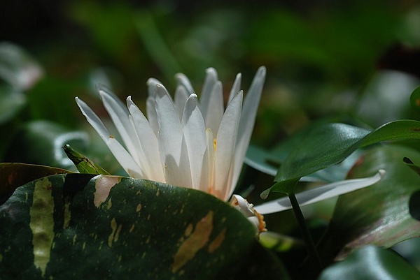 20100829106.jpg