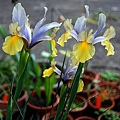 2011030899.jpg