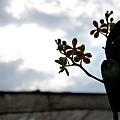 2011050877.jpg