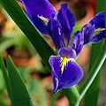 2011040510.jpg