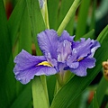 2011042967.jpg