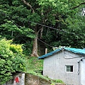 201008085.jpg