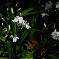 20110217194.jpg