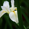 2011041247.jpg