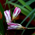 2011032312.jpg