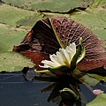 2010082284.jpg