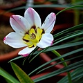 201103295.jpg