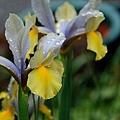 2011030818.jpg