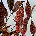 20110227174.jpg