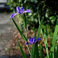 2011040515.jpg