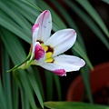 2011032910.jpg