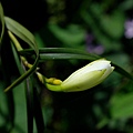 20110424329.jpg