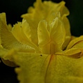 2011042063.jpg