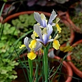 20110308103.jpg