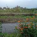 2010081532.jpg