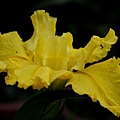 2011042060.jpg