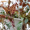 2011022616.jpg