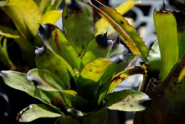 20110207791.jpg