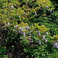 201104777.jpg