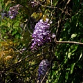 201104637.jpg