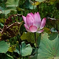 2010082297.jpg