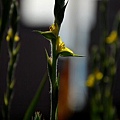 2010071941.jpg