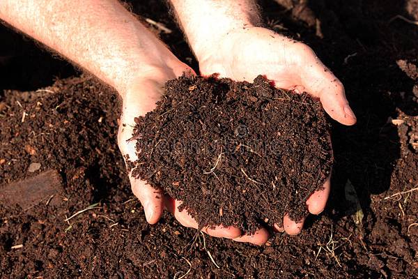 organic compost manure 有機堆肥