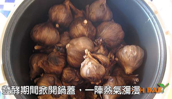 生活心享受 黑面戰士 黑蒜 土寶貝有限公司 痞客邦