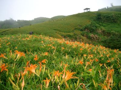 花蓮富里1.jpg