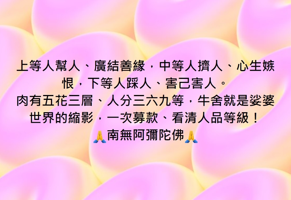 牛舍就是娑婆世界的縮影，一次募款、看清人品等級！ 🙏南無阿彌