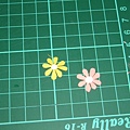 傳說中麻煩的小花