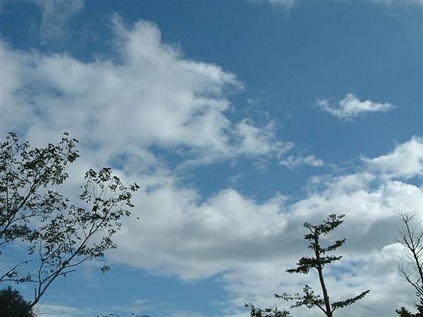 藍天浮雲