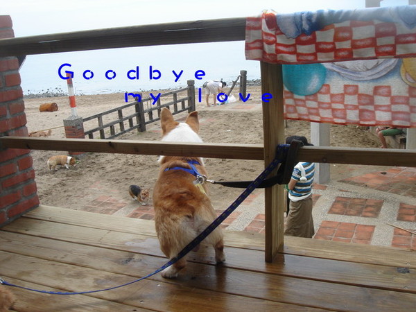 ｇｏｏｄｂｙｅ　ｍｙ　ｌｏｖｅ　我的愛人