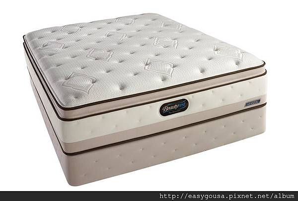 22-Simmons Beautyrest TruEnergy Ivy Plush Pillowtop Mattress Set (QUEEN USD 1,560, 另有其他尺寸)