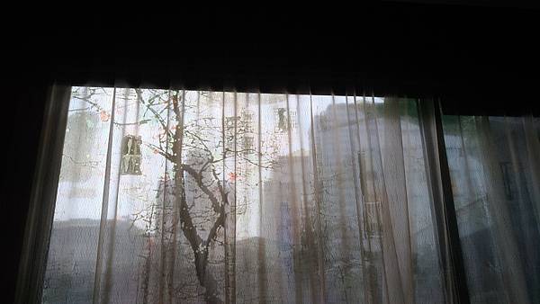 1499170060383.jpg 1499170060383.jpg