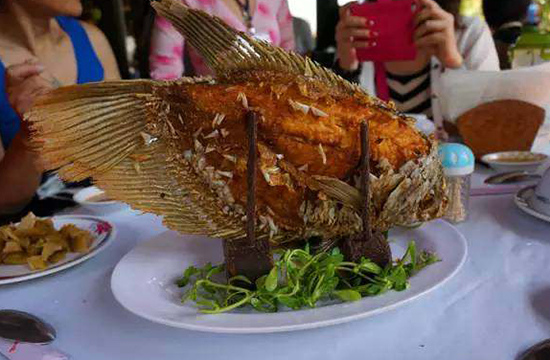 炸象鱼