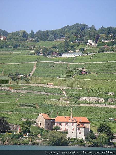 DSC06333.jpg DSC06333.jpg