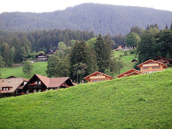 DSC06601.JPG DSC06601.JPG