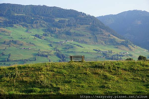 DSC05534.JPG DSC05534.JPG