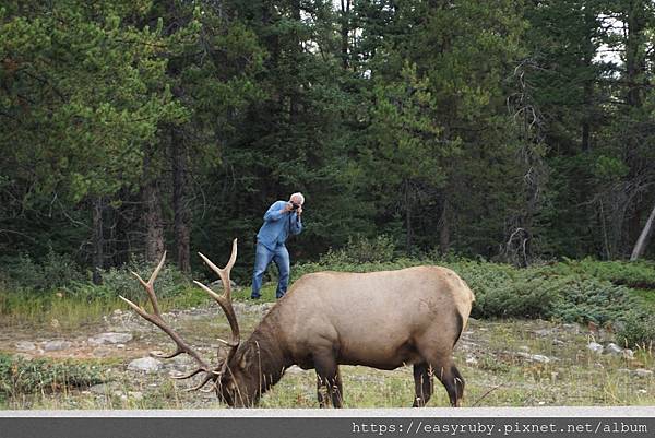 201608加拿大國家公園走透透 324.jpg