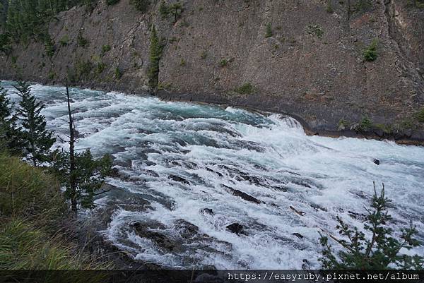201608加拿大國家公園走透透 753.JPG 201608加拿大國家公園走透透 753.JPG